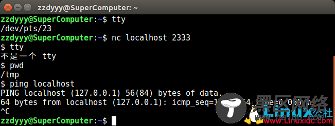 Linux 伪终端的基本原理 及其在远程登录（SSH，