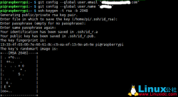 Raspberrypi树莓派Liunx下安装Golang1.9环境(Debian)