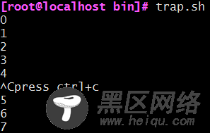 shell脚本入门详解及其实例