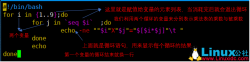Linux里的for、while、until循环语句