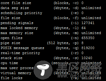 Too many open files 问题解决方法