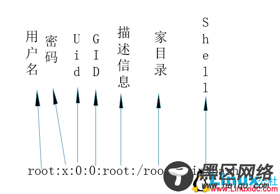 Linux用户和用户组管理概述
