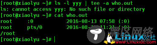 Linux教程之文件描述符、重定向、管道符、tee命令
