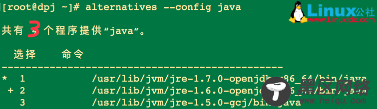 Linux下使用alternatives命令替换选择软件的版本