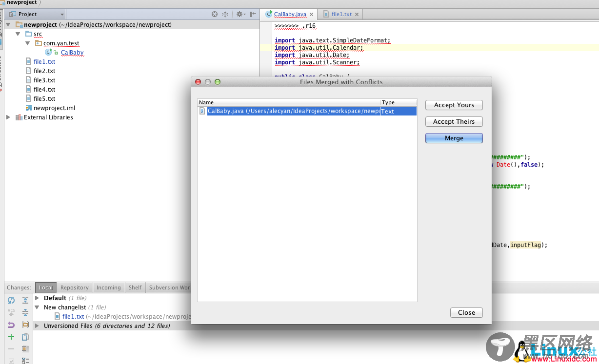 Mac下Intellij IDEA使用之SVN图文详解