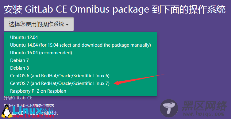 CentOS 7.2安装GitLab CE 图文详解