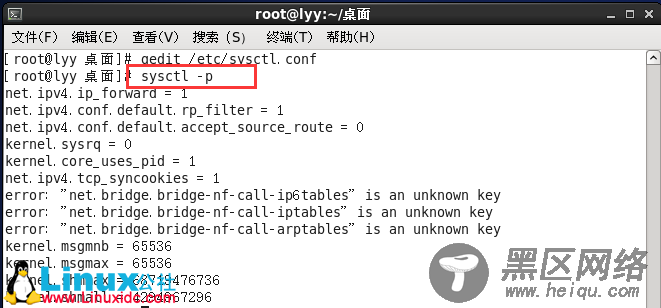 Linux基础网络搭建实验