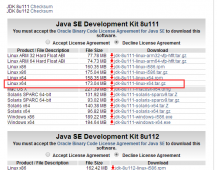 在Linux虚拟机下配置JDK的环境变量