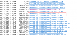 <strong>FreeBSD 10.2 安装使用笔记</strong>