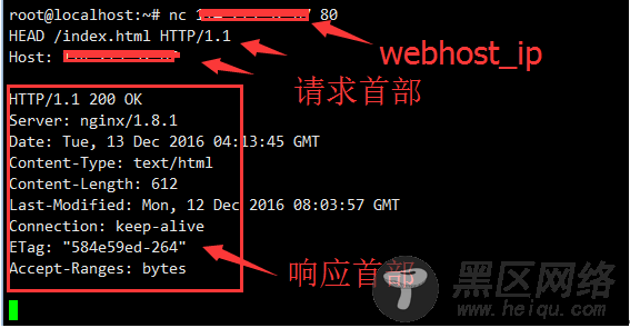 tcpdump、nc网络工具使用