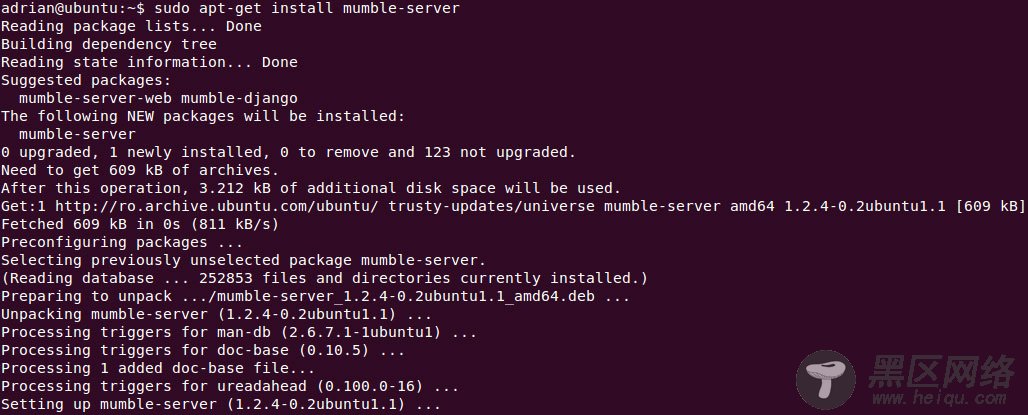 mumble install