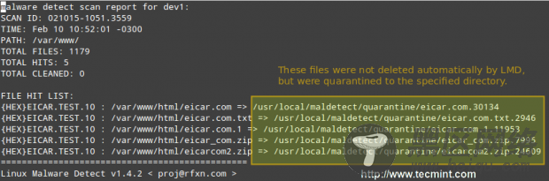 Linux恶意软件扫描报告