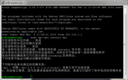 Raspberry Pi 2 安装最新版FPC和Lazarus 1.5