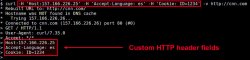 Linux系统入门学习：在curl中设置自定义的HTTP头