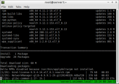 Linux 故障排除：关闭 SSH 会话后如何保存工作状态
