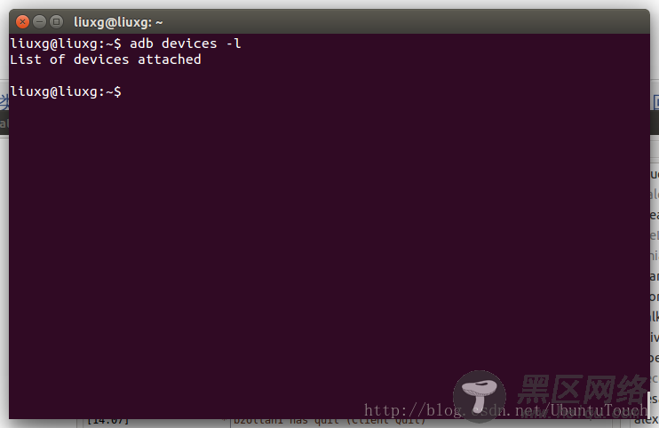 怎么在Ubuntu手机中打开开发者模式