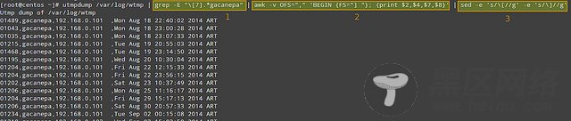 使用 utmpdump 监控 CentOS 用户登录历史