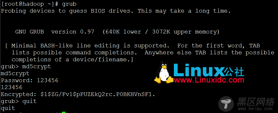 GRUB与Linux系统修复(第二版) 