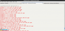 Linux入门教程：Linux下的视频录制软件Xvidcap
