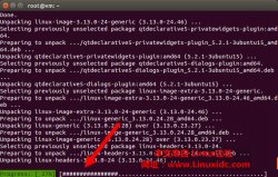 启用Ubuntu 14.04 LTS中的ATP进度条