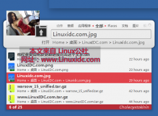 Ubuntu下安装启动器工具软件Synapse 0.2.99