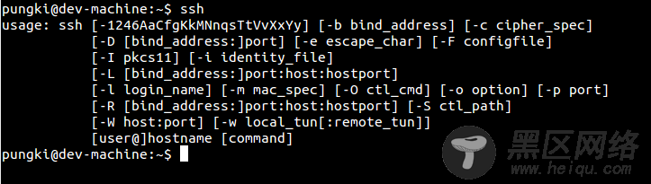 An ssh client