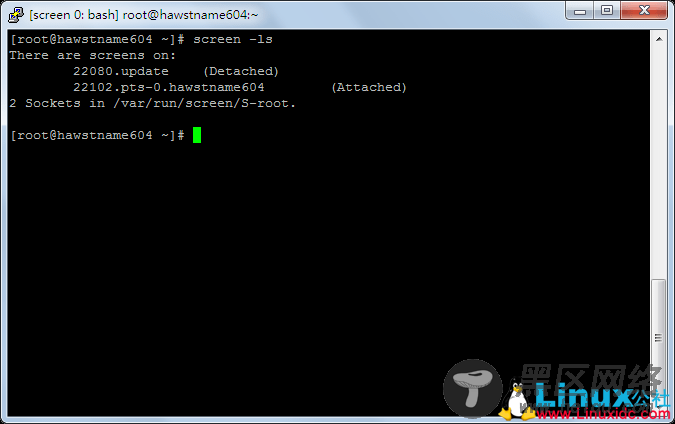 Linux Screen超简明教程