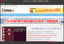 在Ubuntu上安装Midori浏览器
