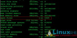 Linux中的错误：too many open files