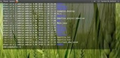 12款Linux终端替代品