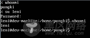 Linux系统 whoami 命令 – 知晓当前登录用户