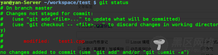 Git的初始设置和使用(一)