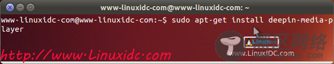 Ubuntu 13.04下使用PPA 安装DPlayer深度影音播放器