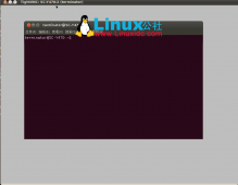 Ubuntu 12.04 Unity桌面环境VNC配置手记