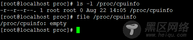 Linux调优之分析 /proc