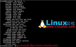 Linux下物理内存和虚拟内存交换机制