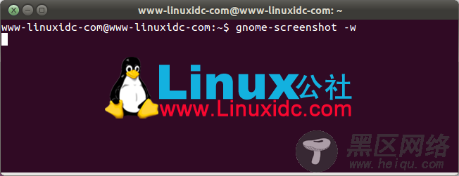 Ubuntu使用 gnome-screenshot 截图命令来截取屏幕、窗口或指定区