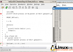 Linux 下用gdb单步调试多进程方法