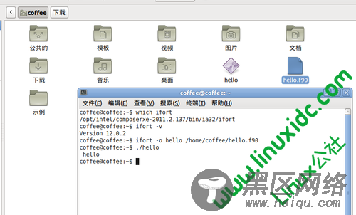 Ubuntu 10.10下安装Intel Fortran XE