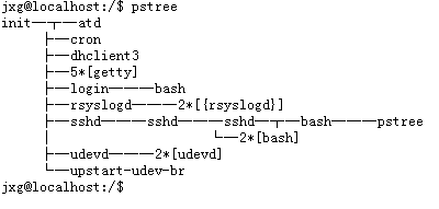 Linux的终端与进程