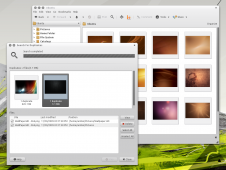 Ubuntu下安装gThumb 2.13.1