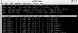 Fedora下关于top和System Monitor的一点疑惑
