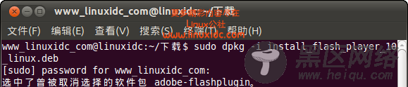 Ubuntu Linux上安装 Flash Player 10.1