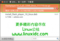Ubuntu 10.10上安装最新版 Flash Player 10.2 Beta