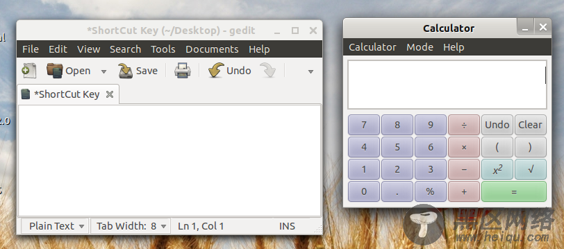 Gnome Shell 