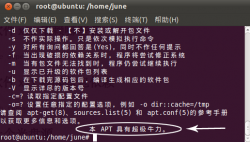 <strong>Ubuntu:本APT具有超级牛力？</strong>