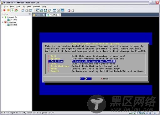 图解VMware 7 下安装FreeBSD 8.0