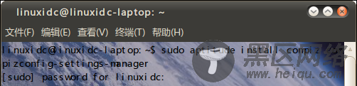 为Ubuntu 10.04安装开启3D桌面