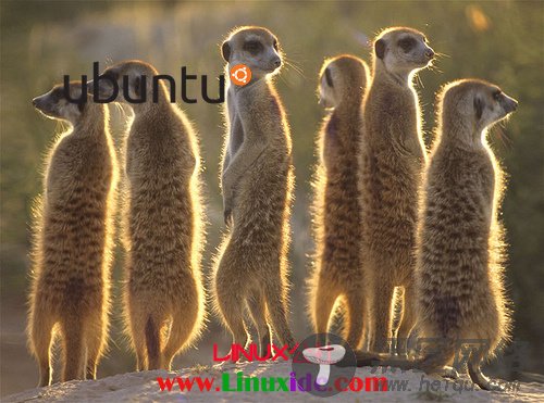 Ubuntu 10.10操作系统多种功能抢先看