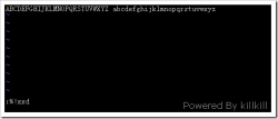在Linux下使用vim配合xxd查看并编辑二进制文件